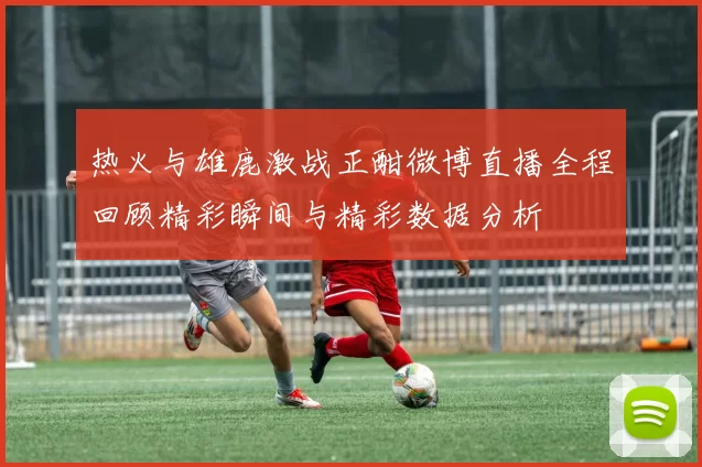 热火与雄鹿激战正酣微博直播全程回顾精彩瞬间与精彩数据分析