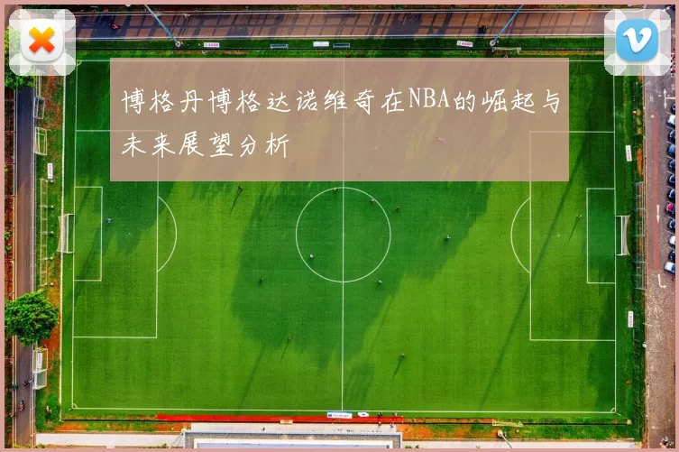 博格丹博格达诺维奇在NBA的崛起与未来展望分析