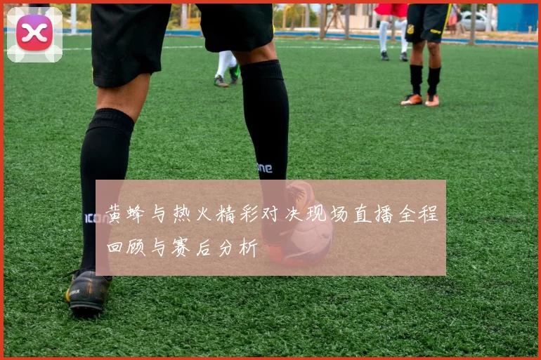 黄蜂与热火精彩对决现场直播全程回顾与赛后分析