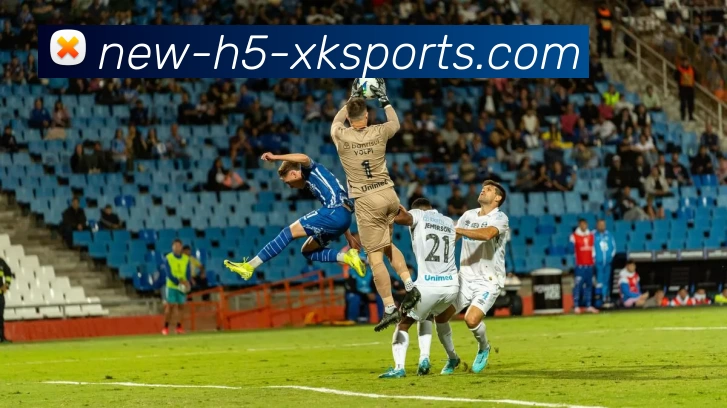 XK星空体育APP 封面图